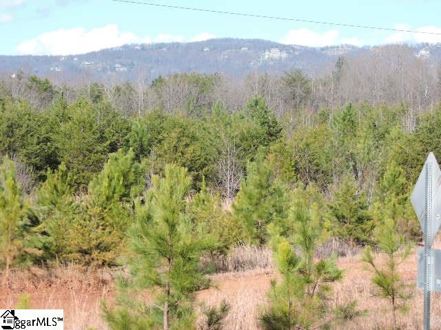 355 State Rd S-23-525 Landrum, SC 29356 - Photo 4 of 12 Gallery Image 4