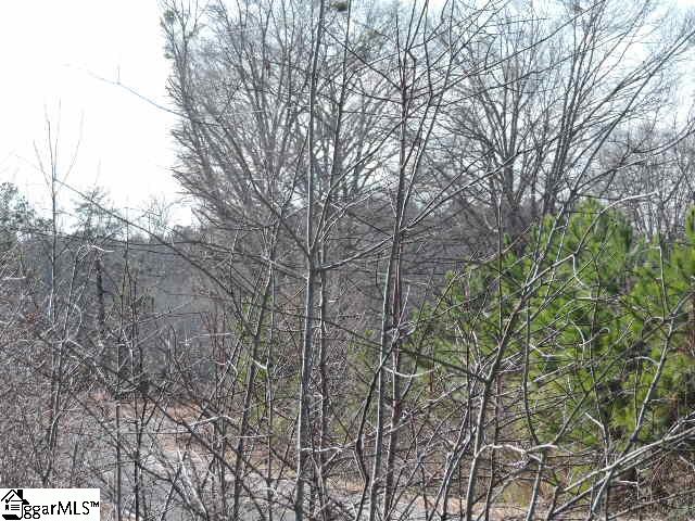 355 State Rd S-23-525 Landrum, SC 29356 - Photo 8 of 12 Gallery Image 8