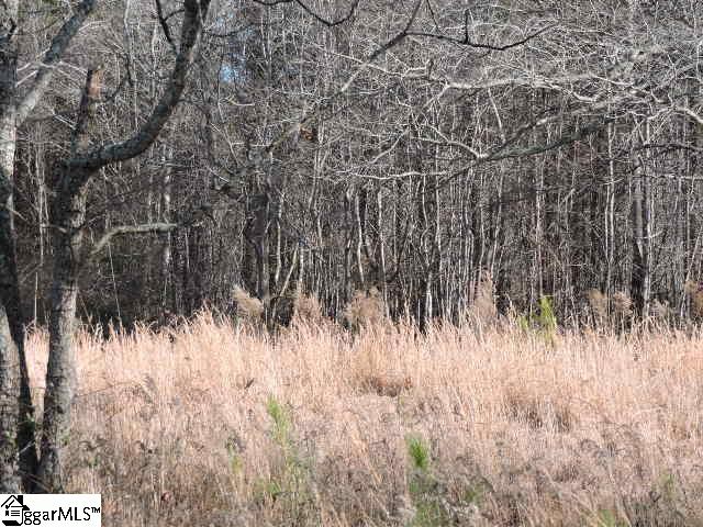 355 State Rd S-23-525 Landrum, SC 29356 - Photo 9 of 12 Gallery Image 9