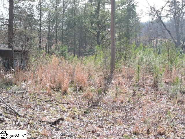 355 State Rd S-23-525 Landrum, SC 29356 - Photo 10 of 12 Gallery Image 10