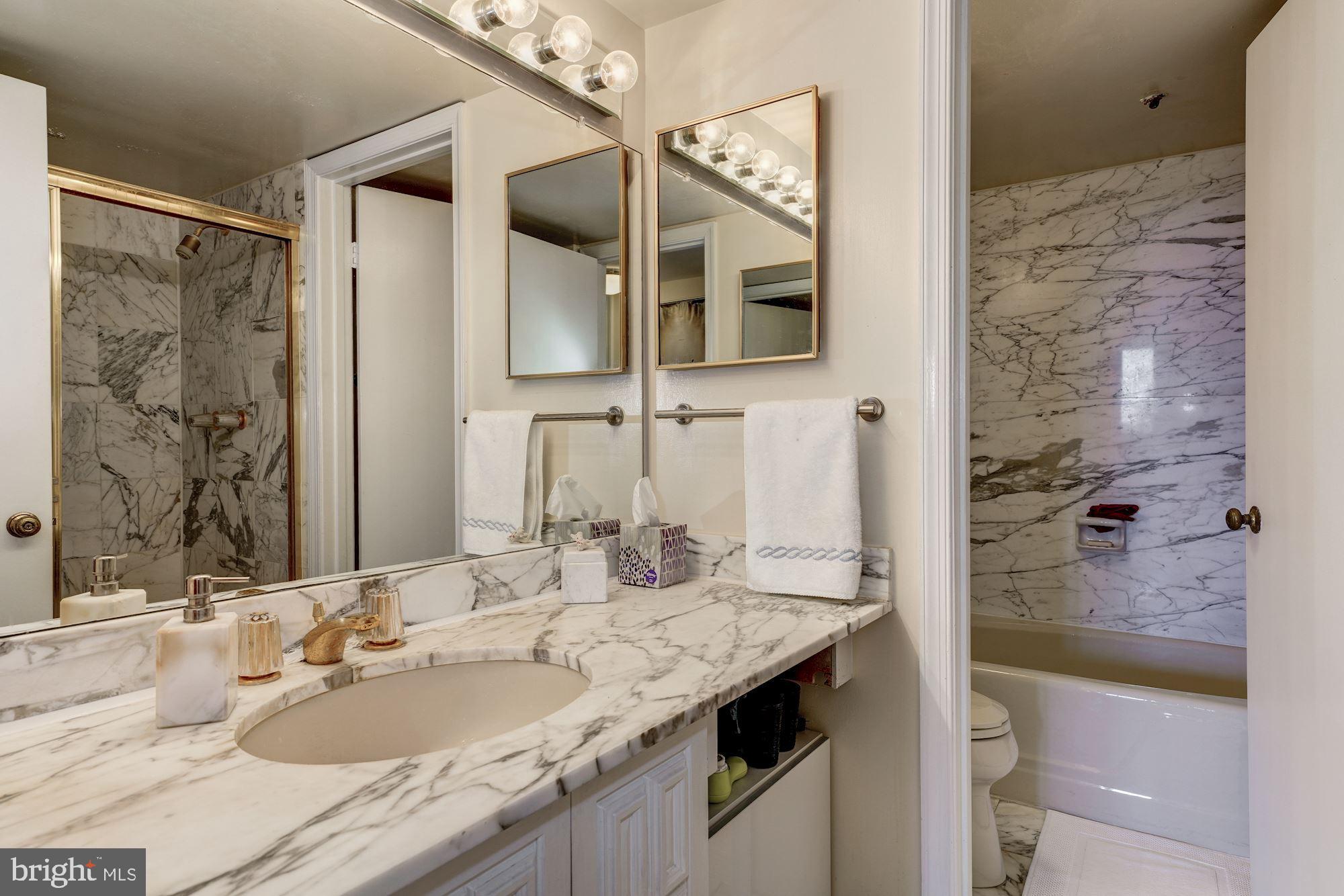 1101 South Arlington Ridge Road, Unit 704 Arlington, VA 22202 - Photo 20 of 37 a bathroom with a granite countertop shower sink and mirror