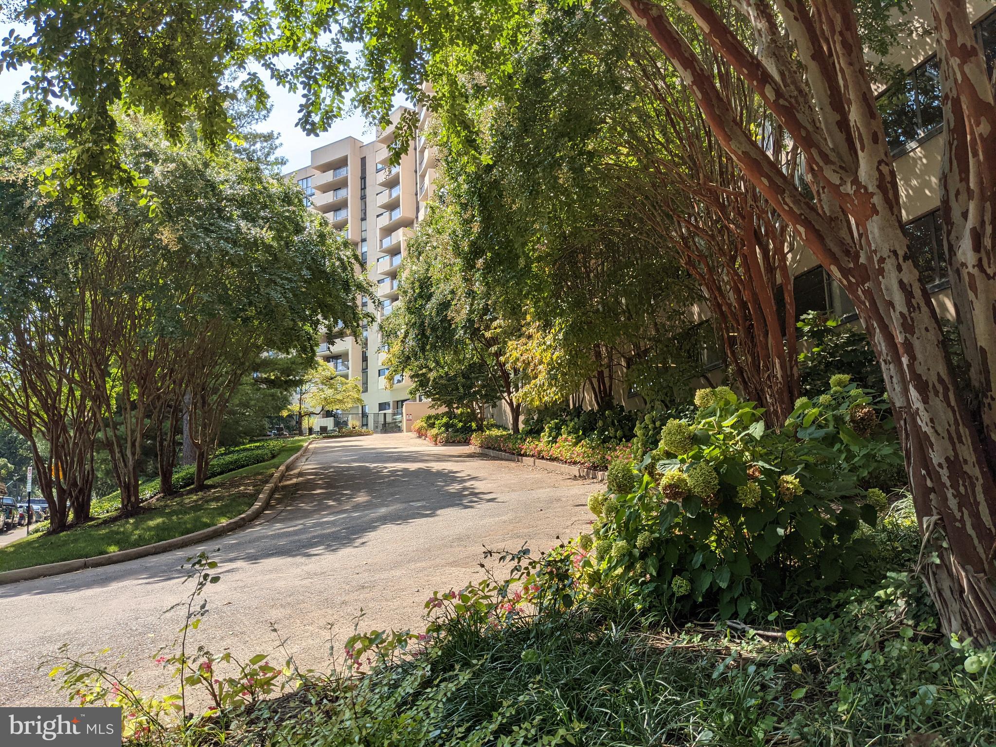 1101 South Arlington Ridge Road, Unit 704 Arlington, VA 22202 - Photo 34 of 37 a view of road and trees