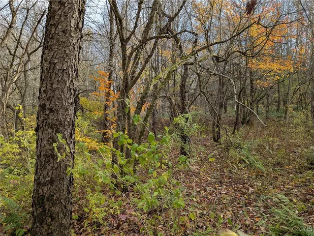 $120,000 | Ryan Road, Redfield, NY 13437