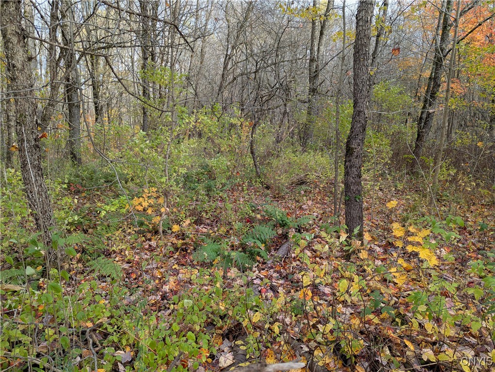 Ryan Road Redfield, NY 13437 - Photo 2 of 7