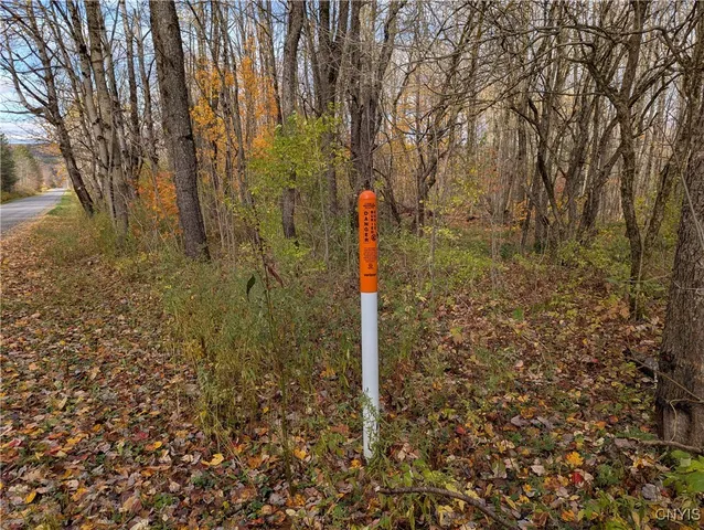 $120,000 | Ryan Road, Redfield, NY 13437