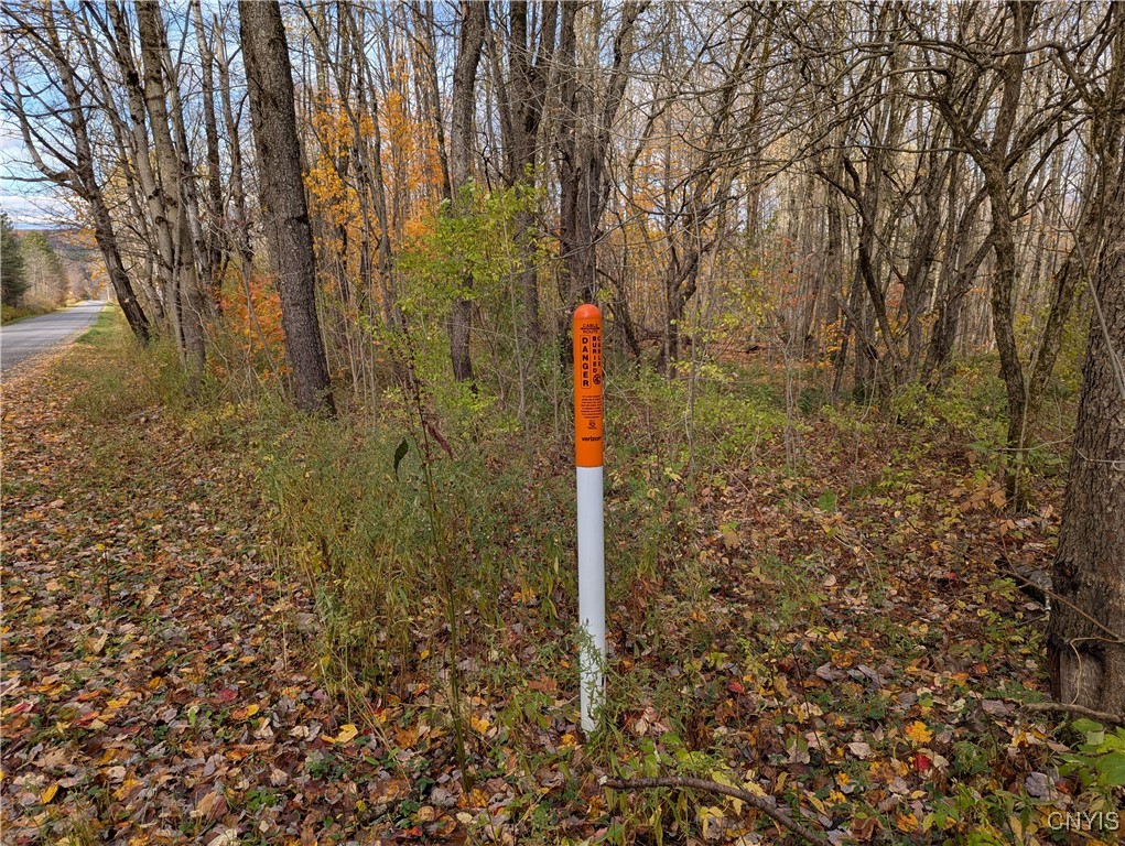 Ryan Road Redfield, NY 13437 - Photo 3 of 7