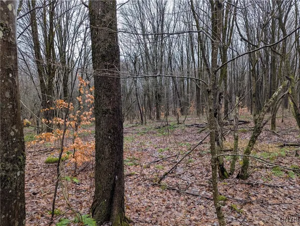 $120,000 | Ryan Road, Redfield, NY 13437