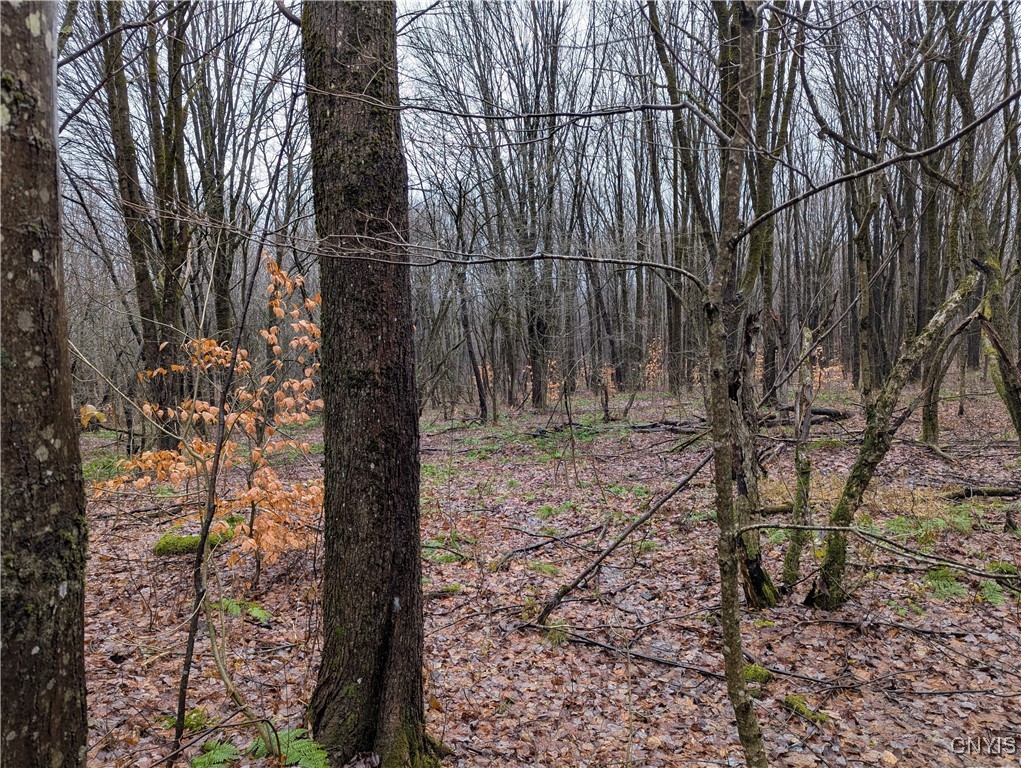 Ryan Road Redfield, NY 13437 - Photo 4 of 7