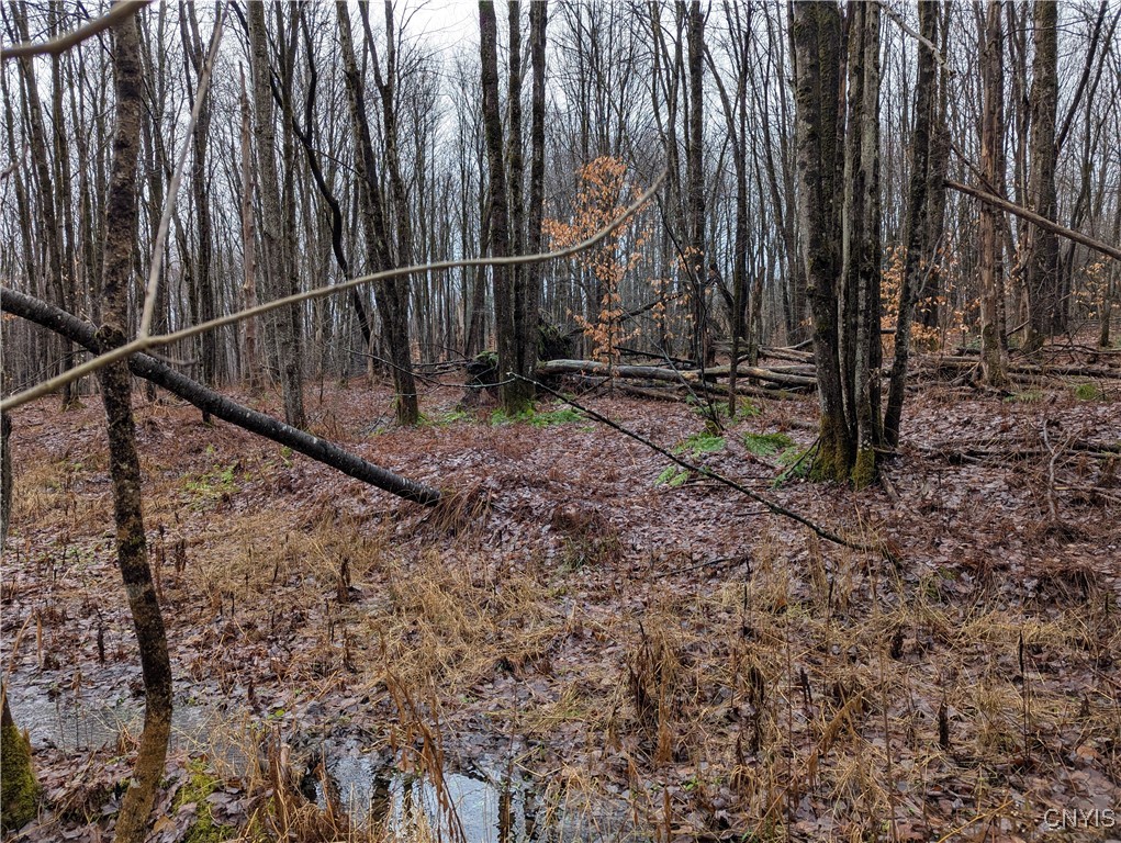 Ryan Road Redfield, NY 13437 - Photo 5 of 7