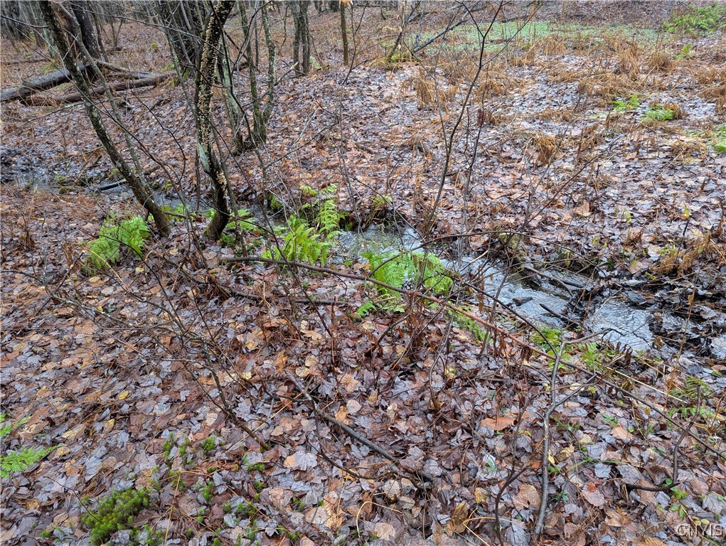 Ryan Road Redfield, NY 13437 - Photo 6 of 7