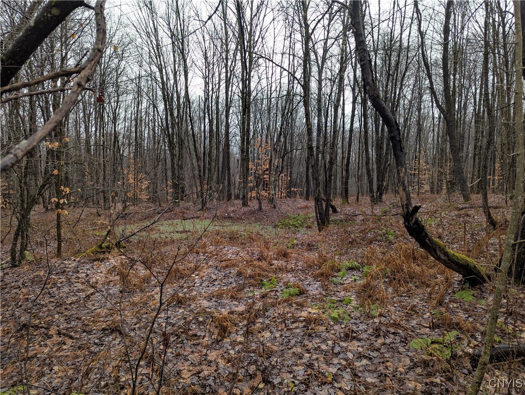 Ryan Road Redfield, NY 13437 - Photo 7 of 7