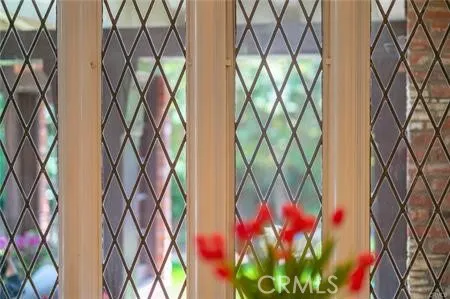 a picture of a tree with a small yard