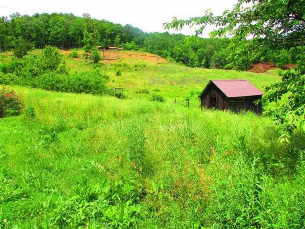 351 Poor Valley Road Rogersville, TN 37857 - Photo 17 of 28 Photo 17