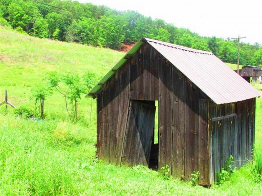 351 Poor Valley Road Rogersville, TN 37857 - Photo 18 of 28 Photo 18