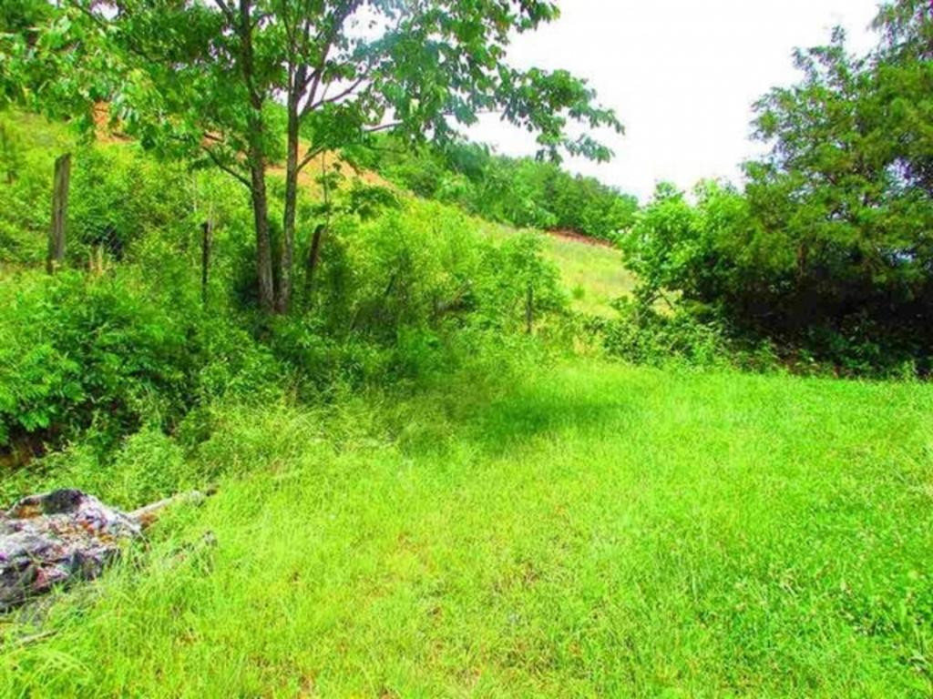 351 Poor Valley Road Rogersville, TN 37857 - Photo 19 of 28 Photo 19