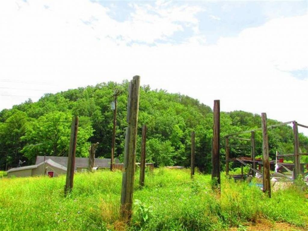 351 Poor Valley Road Rogersville, TN 37857 - Photo 22 of 28 Photo 22