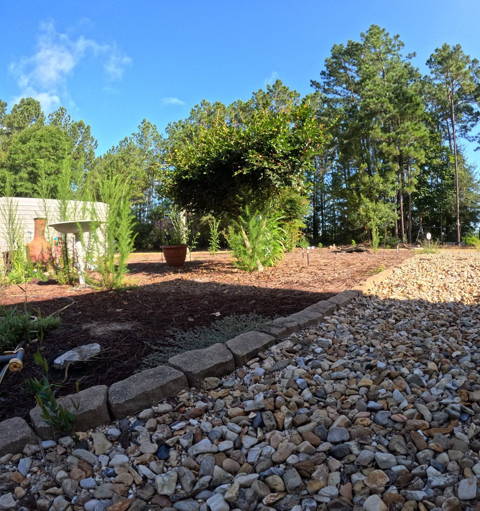 1013 Clear Creek Church Road Columbia, MS 39429 - Photo 11 of 76 Photo 11