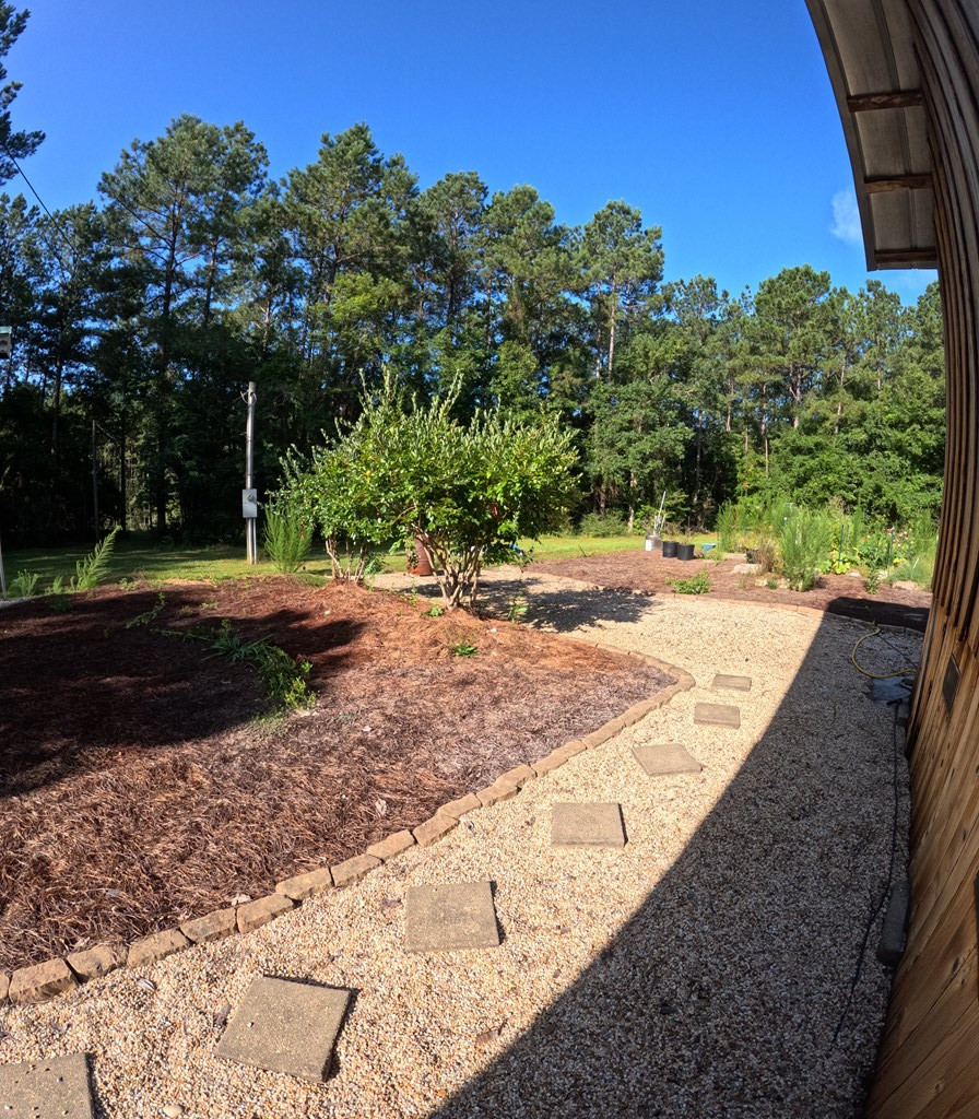 1013 Clear Creek Church Road Columbia, MS 39429 - Photo 16 of 76 Photo 16