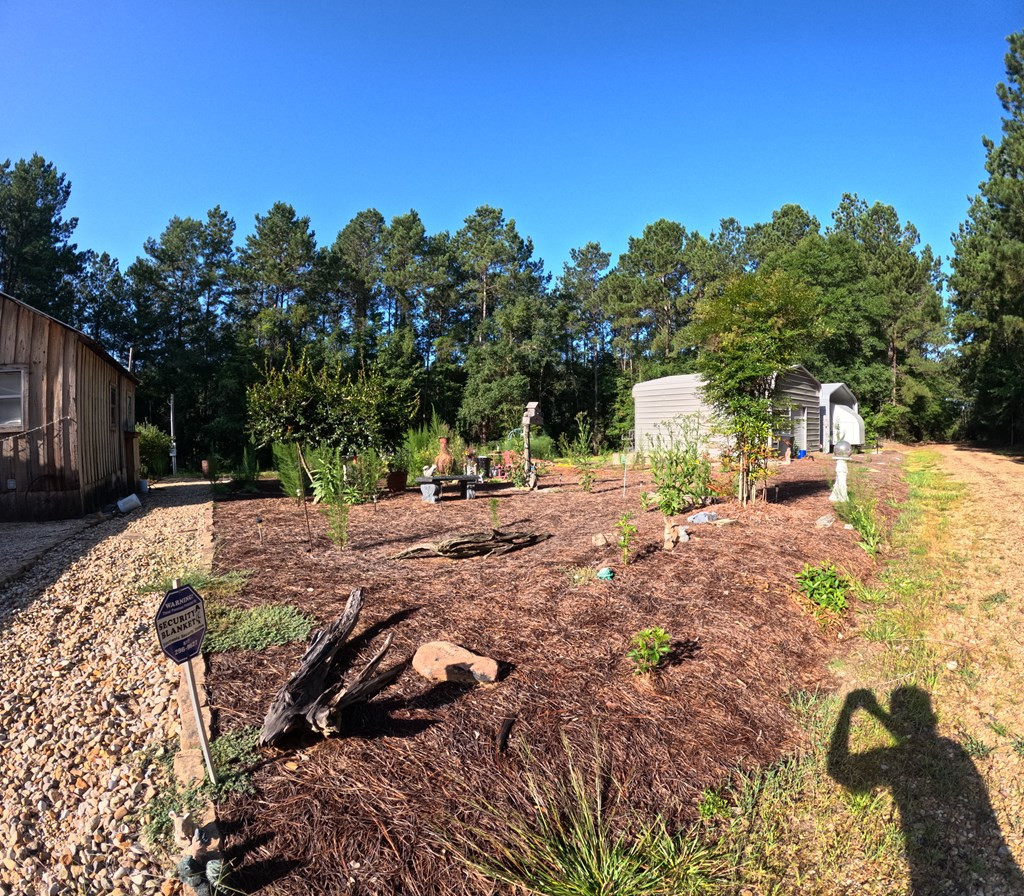 1013 Clear Creek Church Road Columbia, MS 39429 - Photo 18 of 76 Photo 18