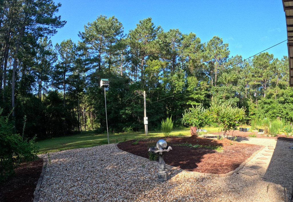 1013 Clear Creek Church Road Columbia, MS 39429 - Photo 23 of 76 Photo 23