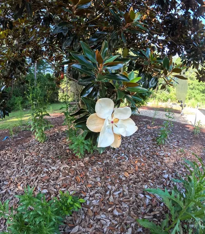 $299,000 | 1013 Clear Creek Church Road, Columbia, MS 39429