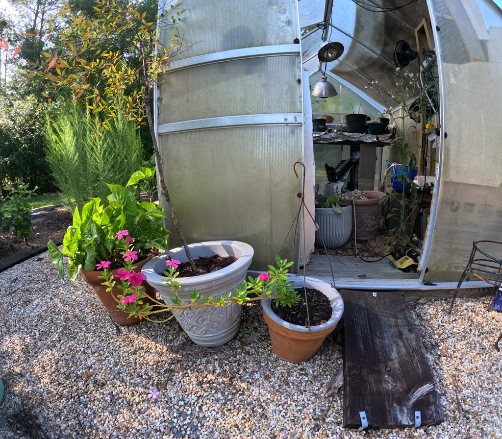 1013 Clear Creek Church Road Columbia, MS 39429 - Photo 31 of 76 Photo 31