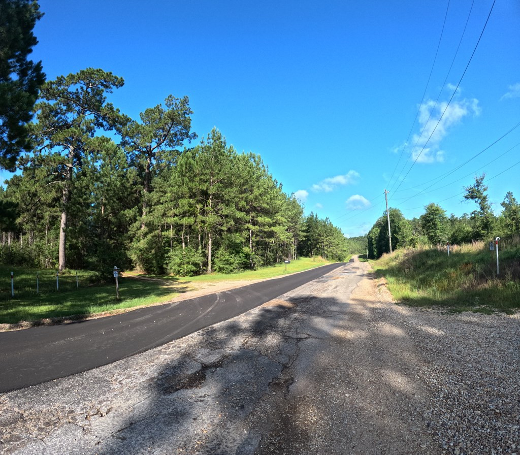 1013 Clear Creek Church Road Columbia, MS 39429 - Photo 4 of 76 Photo 4