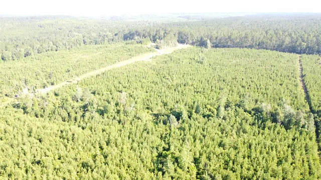 $299,000 | 1013 Clear Creek Church Road, Columbia, MS 39429