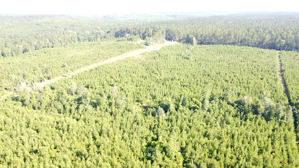 1013 Clear Creek Church Road Columbia, MS 39429 - Photo 42 of 76 Photo 42