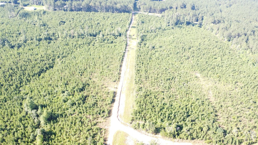 1013 Clear Creek Church Road Columbia, MS 39429 - Photo 44 of 76 Photo 44