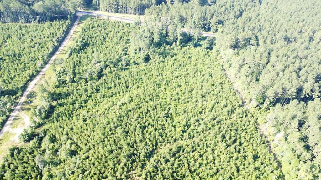 1013 Clear Creek Church Road Columbia, MS 39429 - Photo 46 of 76 Photo 46