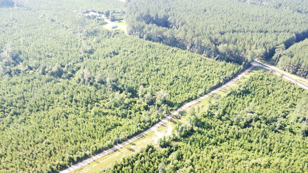 1013 Clear Creek Church Road Columbia, MS 39429 - Photo 47 of 76 Photo 47