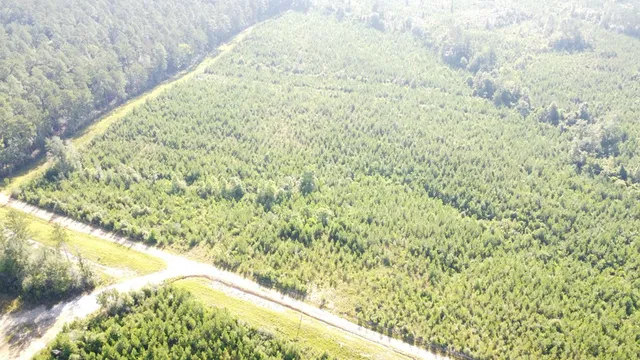 $299,000 | 1013 Clear Creek Church Road, Columbia, MS 39429