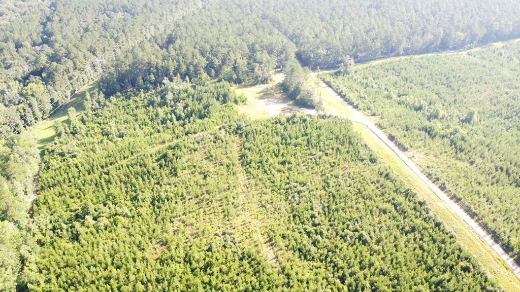 1013 Clear Creek Church Road Columbia, MS 39429 - Photo 49 of 76 Photo 49