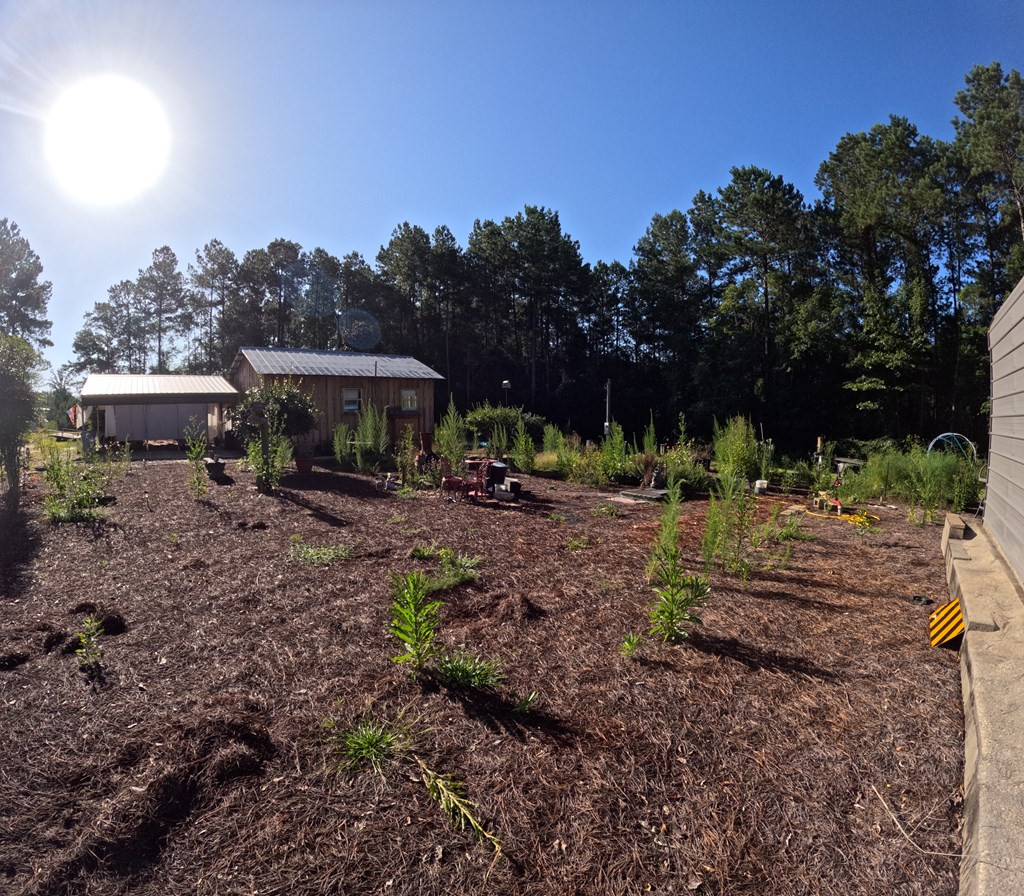 1013 Clear Creek Church Road Columbia, MS 39429 - Photo 5 of 76 Photo 5