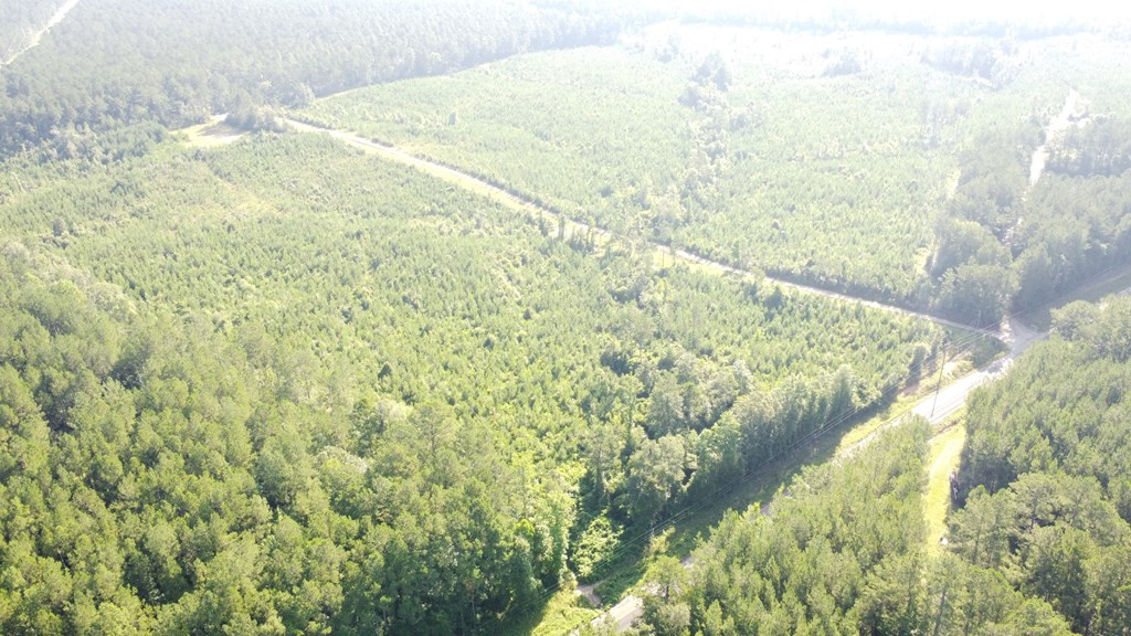 1013 Clear Creek Church Road Columbia, MS 39429 - Photo 52 of 76 Photo 52