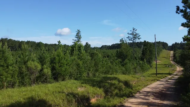 $299,000 | 1013 Clear Creek Church Road, Columbia, MS 39429