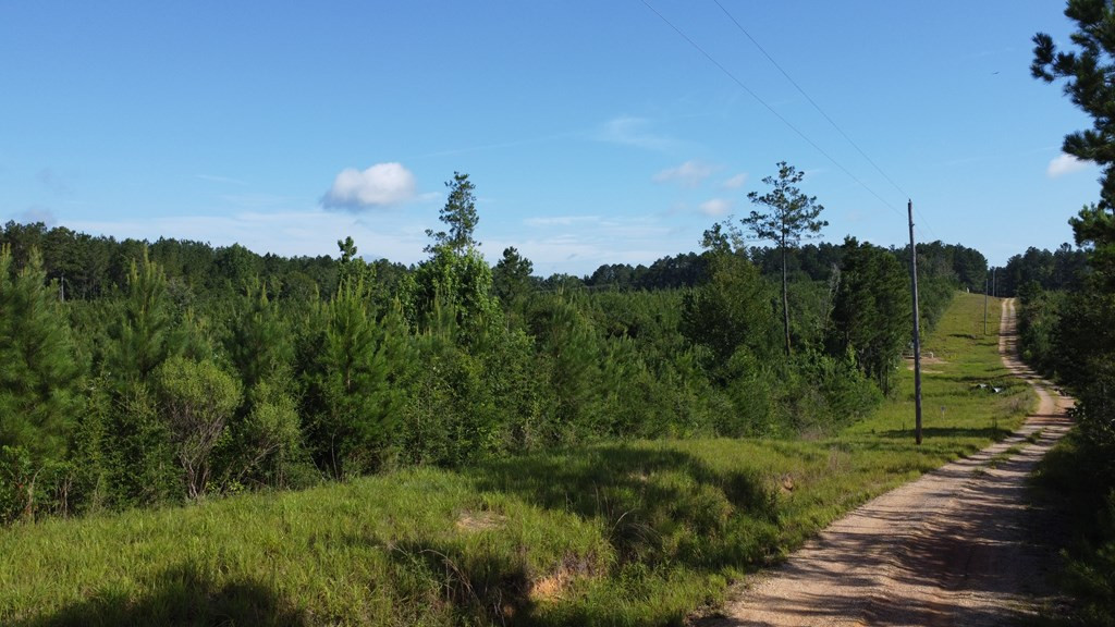 1013 Clear Creek Church Road Columbia, MS 39429 - Photo 57 of 76 Photo 57