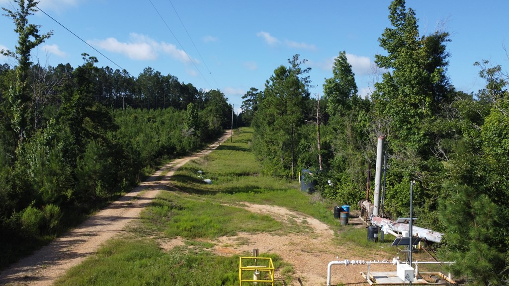 1013 Clear Creek Church Road Columbia, MS 39429 - Photo 58 of 76 Photo 58