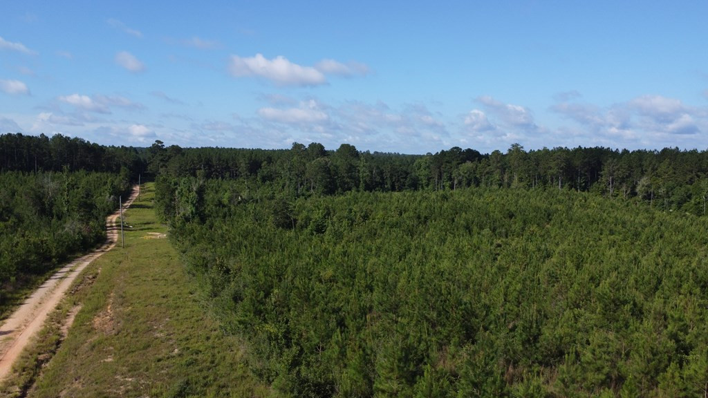 1013 Clear Creek Church Road Columbia, MS 39429 - Photo 59 of 76 Photo 59