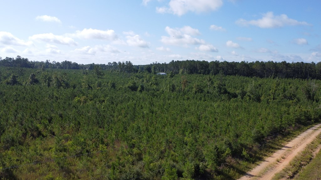 1013 Clear Creek Church Road Columbia, MS 39429 - Photo 60 of 76 Photo 60