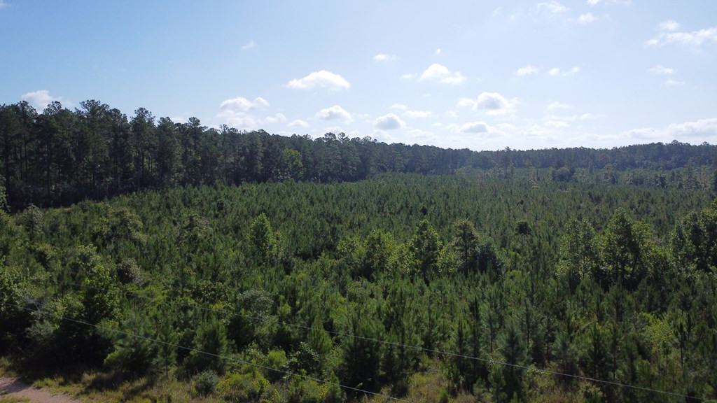 1013 Clear Creek Church Road Columbia, MS 39429 - Photo 61 of 76 Photo 61