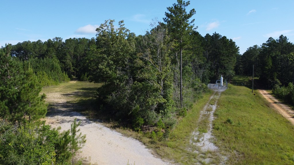 1013 Clear Creek Church Road Columbia, MS 39429 - Photo 62 of 76 Photo 62