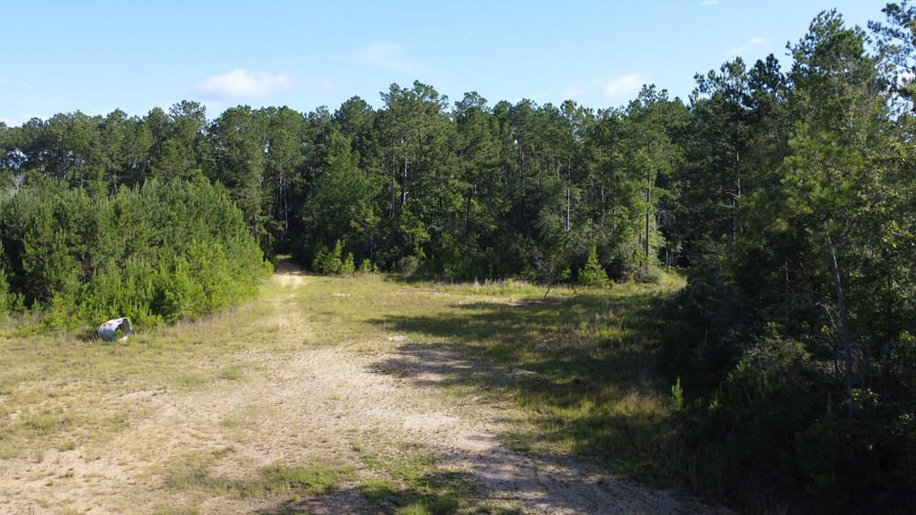 1013 Clear Creek Church Road Columbia, MS 39429 - Photo 63 of 76 Photo 63