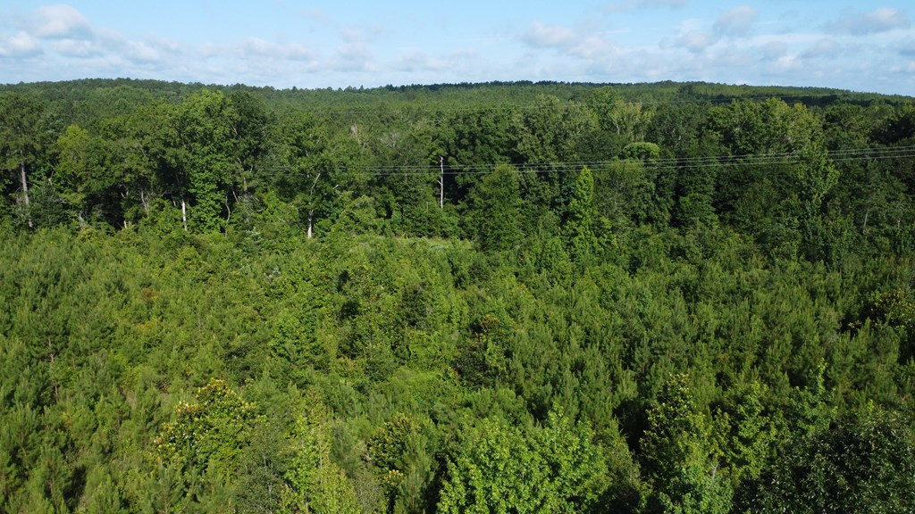 1013 Clear Creek Church Road Columbia, MS 39429 - Photo 64 of 76 Photo 64