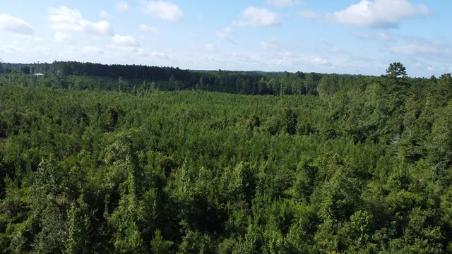 $299,000 | 1013 Clear Creek Church Road, Columbia, MS 39429