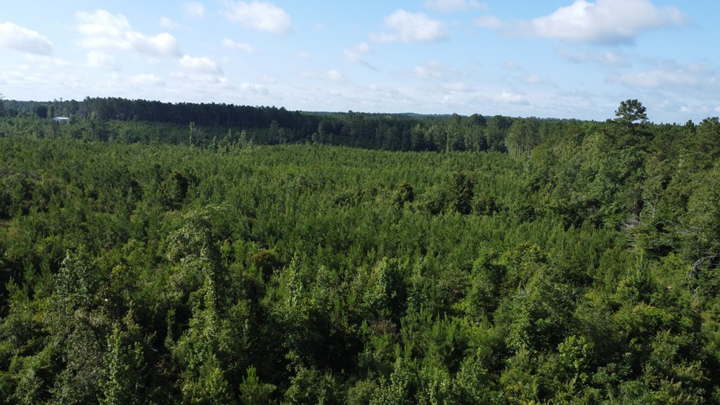 1013 Clear Creek Church Road Columbia, MS 39429 - Photo 65 of 76 Photo 65