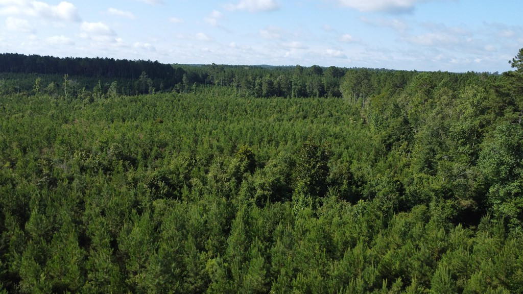 1013 Clear Creek Church Road Columbia, MS 39429 - Photo 66 of 76 Photo 66