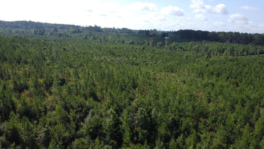 1013 Clear Creek Church Road Columbia, MS 39429 - Photo 68 of 76 Photo 68