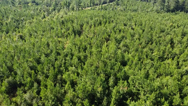 $299,000 | 1013 Clear Creek Church Road, Columbia, MS 39429